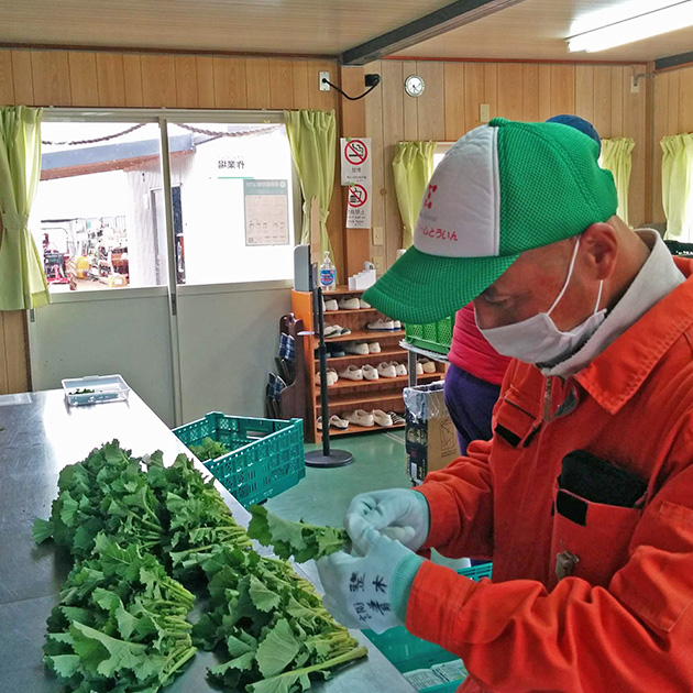 シグマファームとういん　野菜のパッケージ